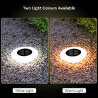 Solar Ground Lights for Garden Pathway, Yard Deck, and Camping Decor